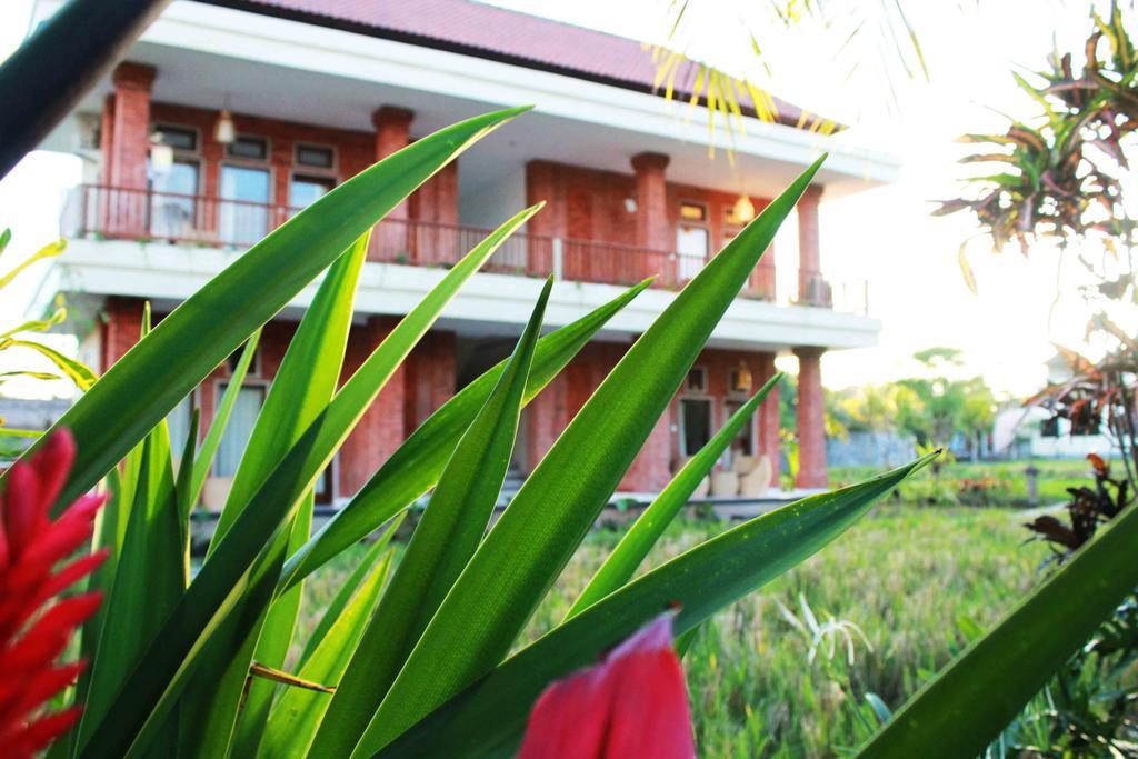 Maple House Ubud